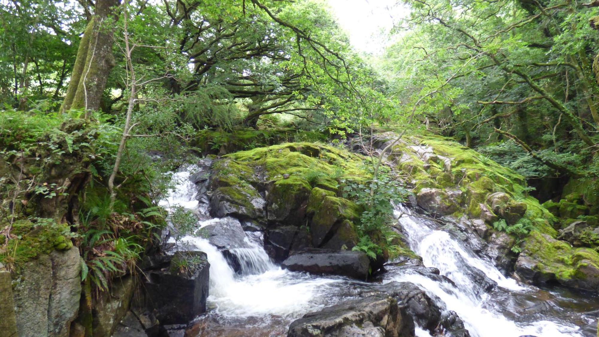 Renovated 5 Bedroom Farmhouse In Picturesque Eskdale, Lake District エクステリア 写真