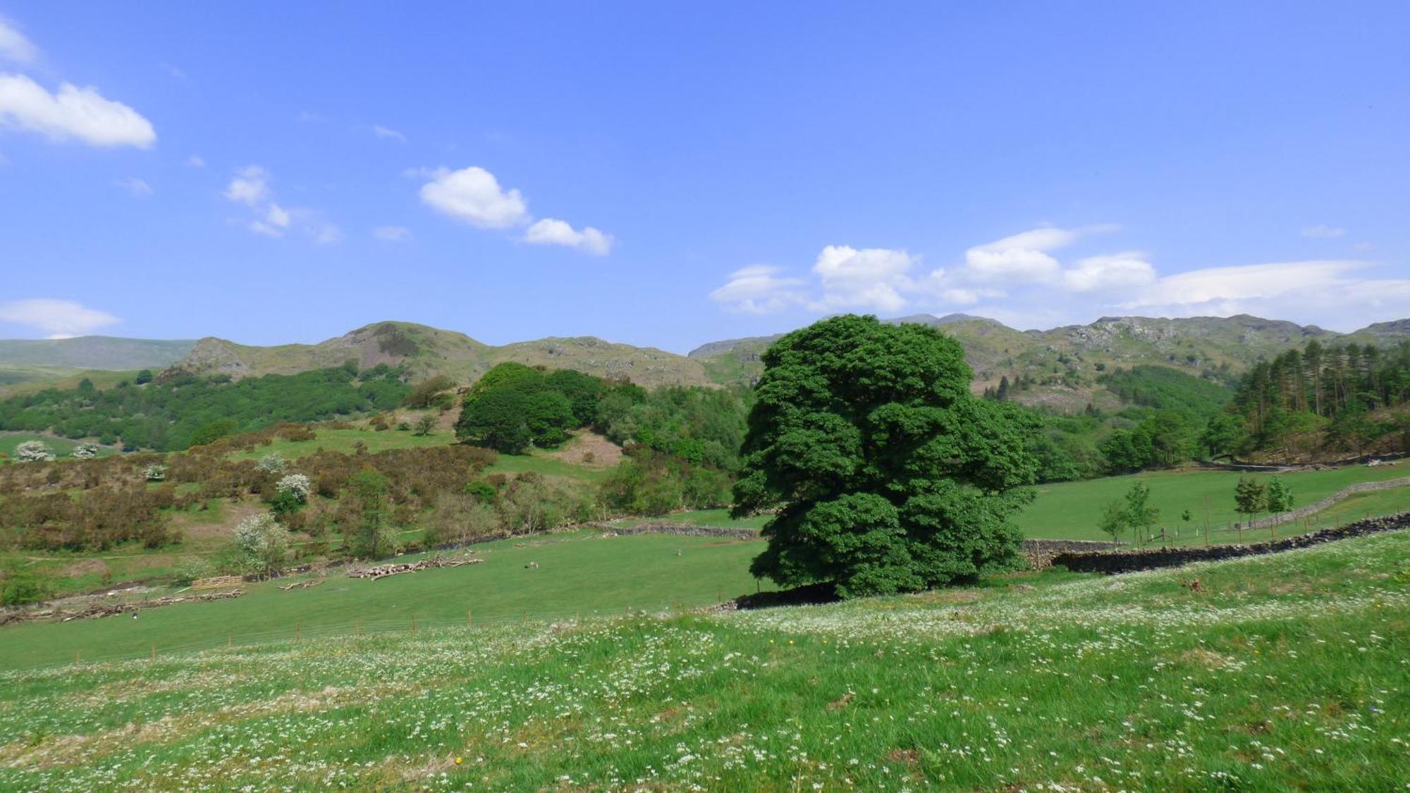 Renovated 5 Bedroom Farmhouse In Picturesque Eskdale, Lake District エクステリア 写真